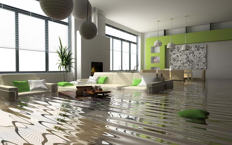 carpet cleaning in NYC, carpet cleaning in new york, carpet cleaning NYC, carpet cleaners in NYC, carpet cleaners in new york, commercial carpet cleaning, commercial carpet cleaning in NYC, NYC rug cleaners, rug cleaning services in NYC, same day carpet cleaning, same day rug cleaning